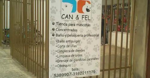 CAN & FEL CAN & FEL